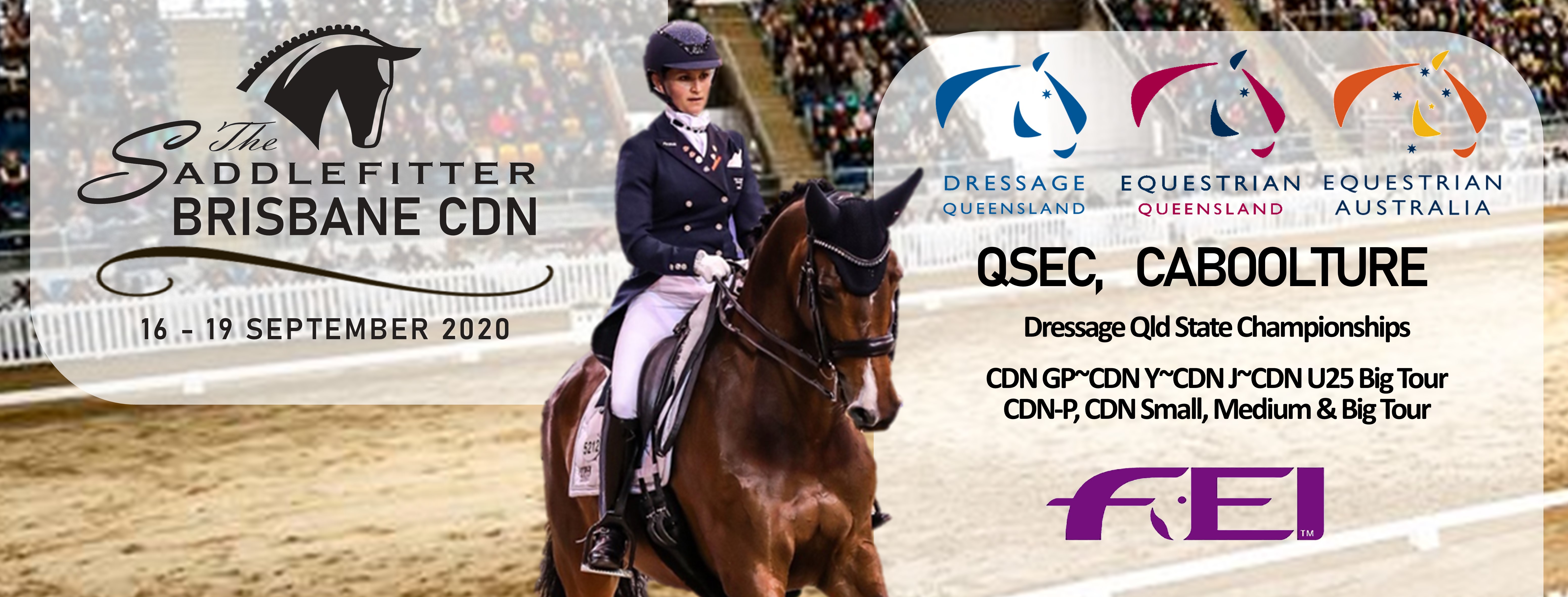 Brisbane CDN & Qld State Dressage Championships Equestrian Queensland